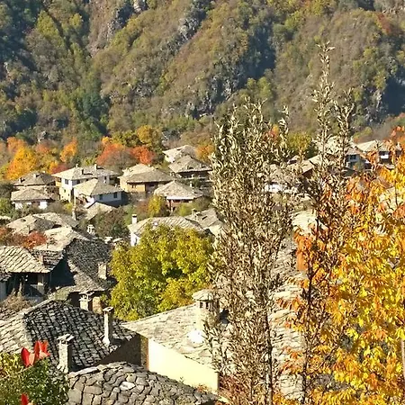 Lavanda 3* Kovaceviţa