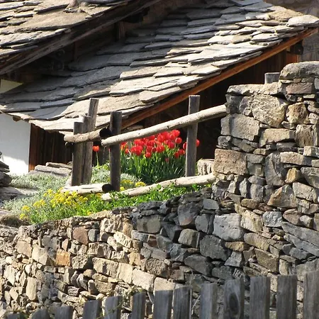 Lavanda 住宿加早餐酒店 Kovačevica