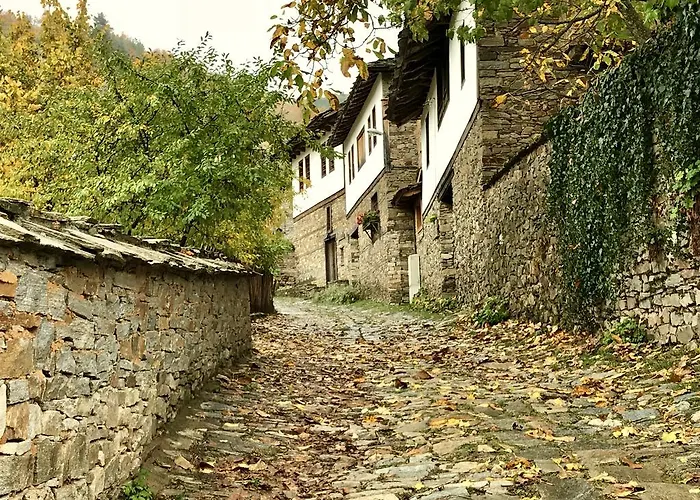 Frühstückspension Lavanda